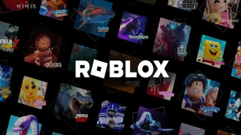 Roblox Soared Q2 Despite Young Users Slow Down